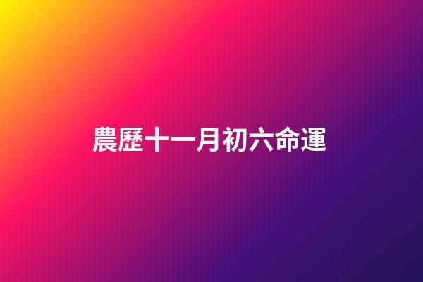 農歷十一月初六命運 (農歷十一月初六命運怎么樣)-第1張-觀點-玄機派